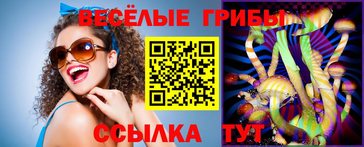 Галлюциногенные грибы Magic Shrooms Северобайкальск